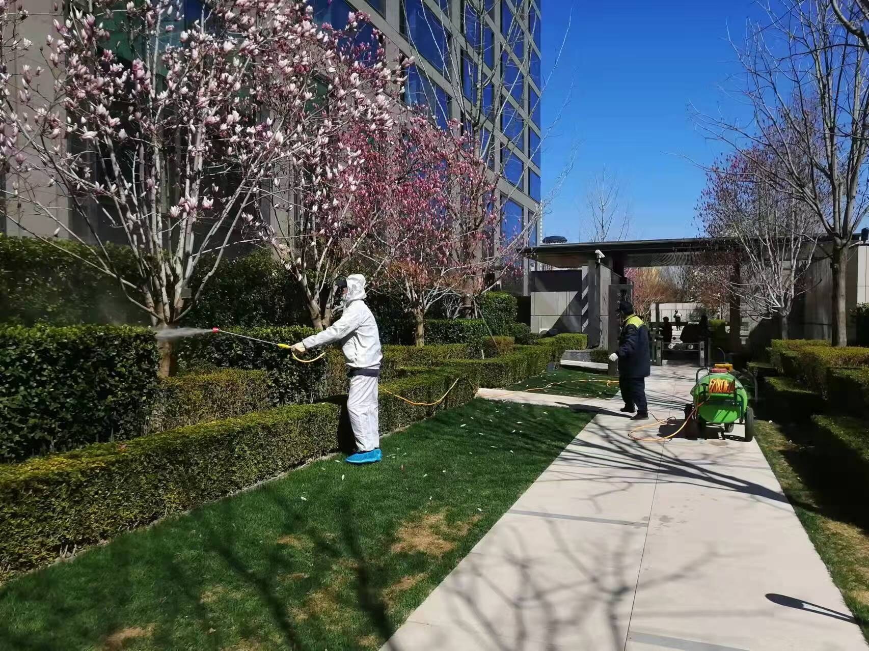 北京春季園林綠化養護之石硫合劑